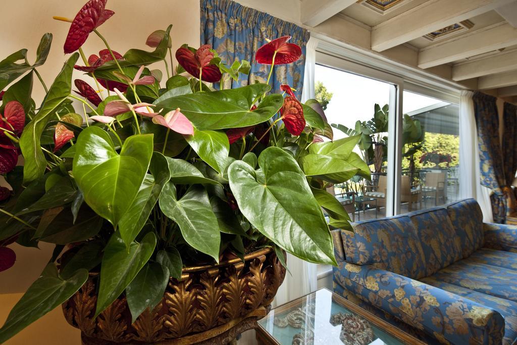Excelsior Belvedere Hotel & Spa Ischia Esterno foto